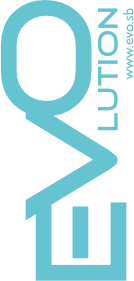 Logo Evolution